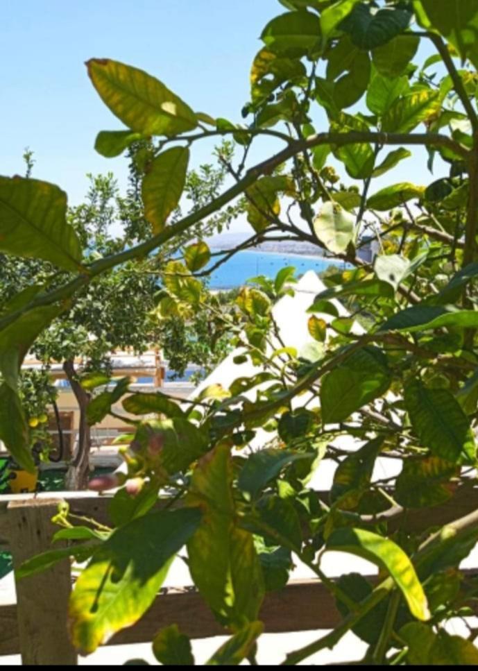 Queens Luxury Glamping Palaiokastro  Екстер'єр фото