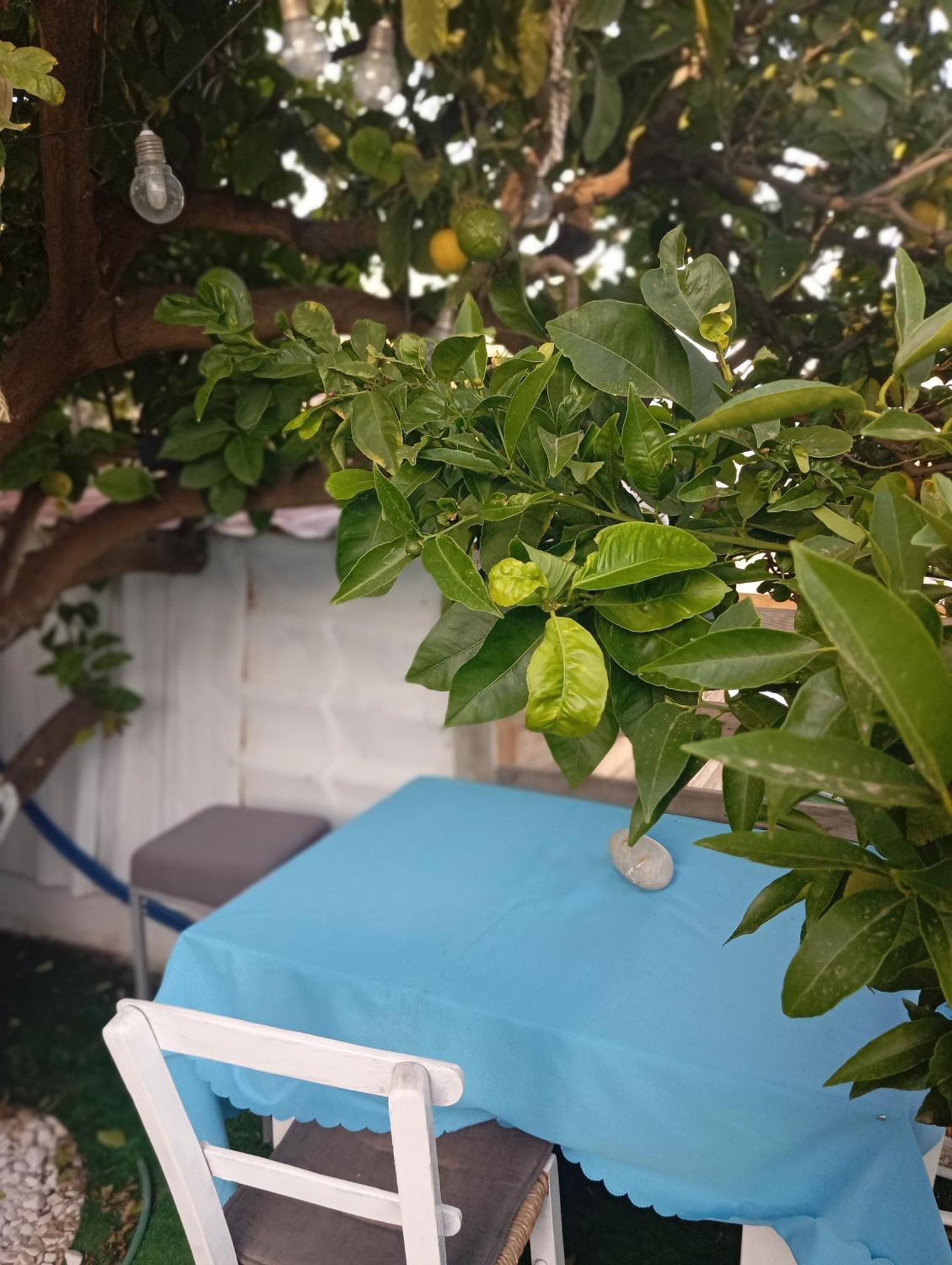 Queens Luxury Glamping Palaiokastro  Екстер'єр фото